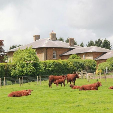 Seawell Bed & Breakfast Towcester Dış mekan fotoğraf