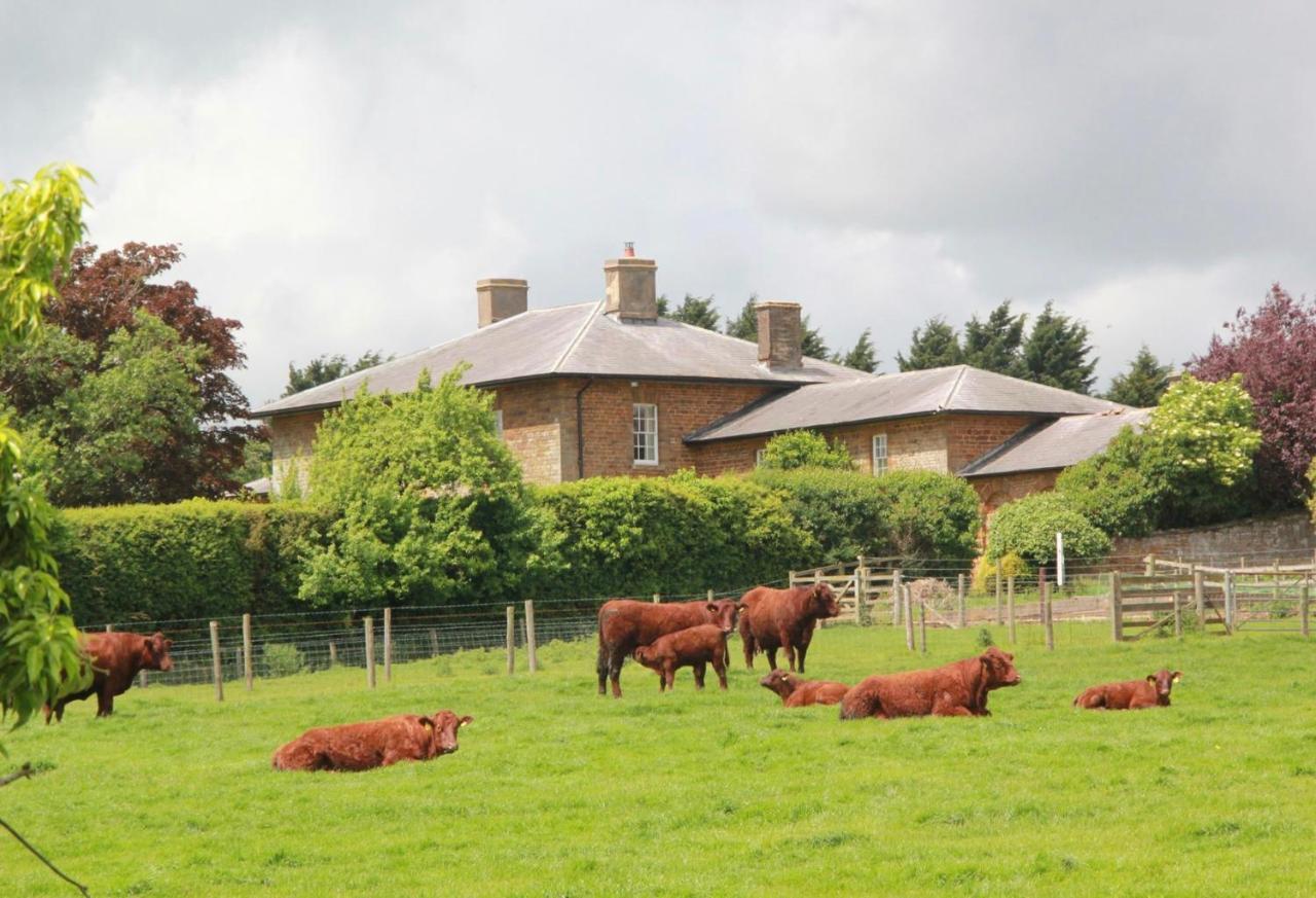 Seawell Bed & Breakfast Towcester Dış mekan fotoğraf